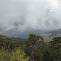 фото из отзыва ID 1339069