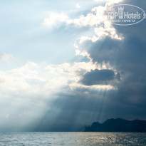 фото из отзыва ID 1339078