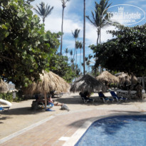 фото из отзыва ID 1339139