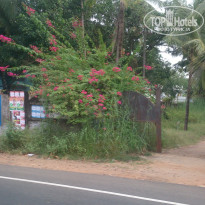 фото из отзыва ID 1339285