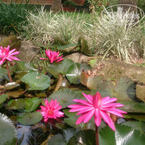 фото из отзыва ID 1339285