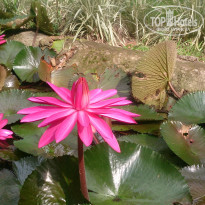 фото из отзыва ID 1339285