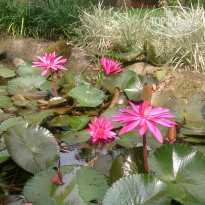 фото из отзыва ID 1339285