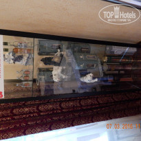 фото из отзыва ID 1339305