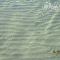 фото из отзыва ID 1339346