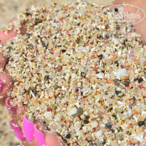 фото из отзыва ID 1339364