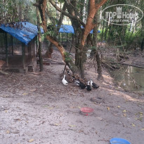 фото из отзыва ID 1339285