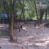 фото из отзыва ID 1339285