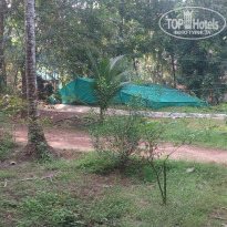 фото из отзыва ID 1339285