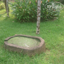 фото из отзыва ID 1339285