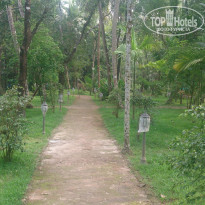 фото из отзыва ID 1339285