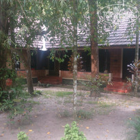 фото из отзыва ID 1339285