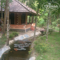 фото из отзыва ID 1339285