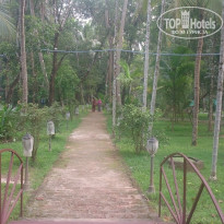 фото из отзыва ID 1339285