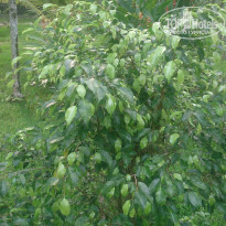 фото из отзыва ID 1339285