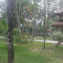 фото из отзыва ID 1339285