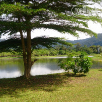 фото из отзыва ID 1339442