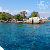 фото из отзыва ID 1339442