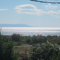 фото из отзыва ID 1339453