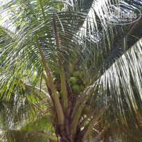 фото из отзыва ID 1339473