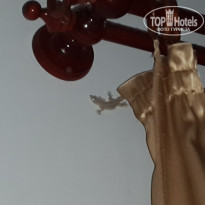 фото из отзыва ID 1339473