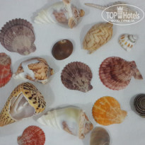 фото из отзыва ID 1339473