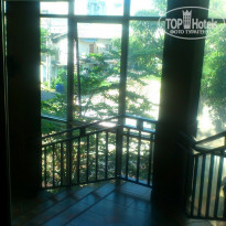 фото из отзыва ID 1339489