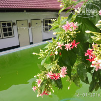 фото из отзыва ID 1339495