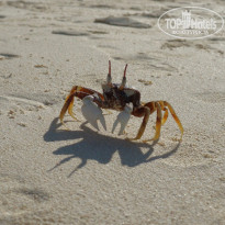 фото из отзыва ID 1339495