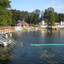 фото из отзыва ID 1339548