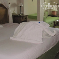 фото из отзыва ID 1339557