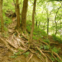 фото из отзыва ID 1339575