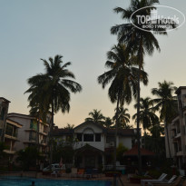 фото из отзыва ID 1339611