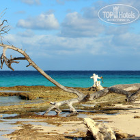 фото из отзыва ID 1339655