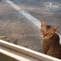 фото из отзыва ID 1339708