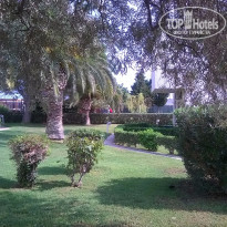 фото из отзыва ID 1339042