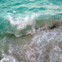 фото из отзыва ID 1339743