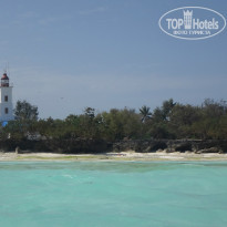 фото из отзыва ID 1339743