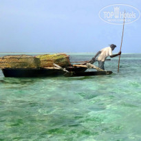 фото из отзыва ID 1339743