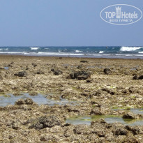 фото из отзыва ID 1339743