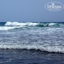 фото из отзыва ID 1339743