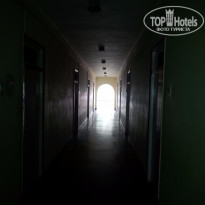 фото из отзыва ID 1339868