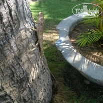 фото из отзыва ID 1339900