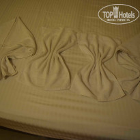 фото из отзыва ID 1339797