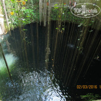 фото из отзыва ID 1339609