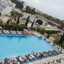 фото из отзыва ID 1338268