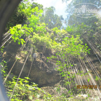 фото из отзыва ID 1339609