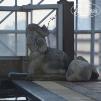 фото из отзыва ID 1332746