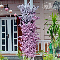 фото из отзыва ID 1330935