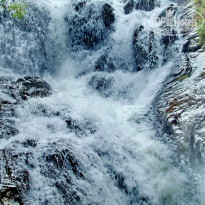 фото из отзыва ID 1330935